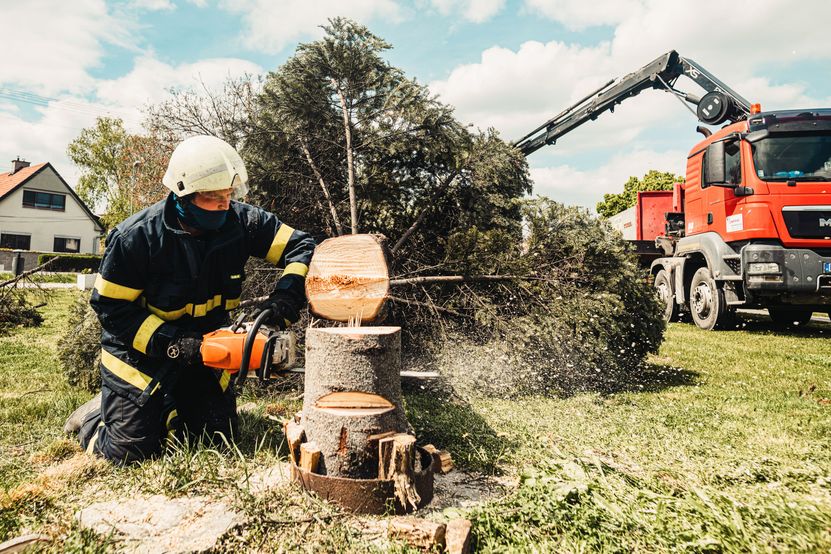 Commercial tree removal service using heavy equipment in Virginia