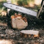 Storm cleanup tree service removing fallen branches and damaged trees