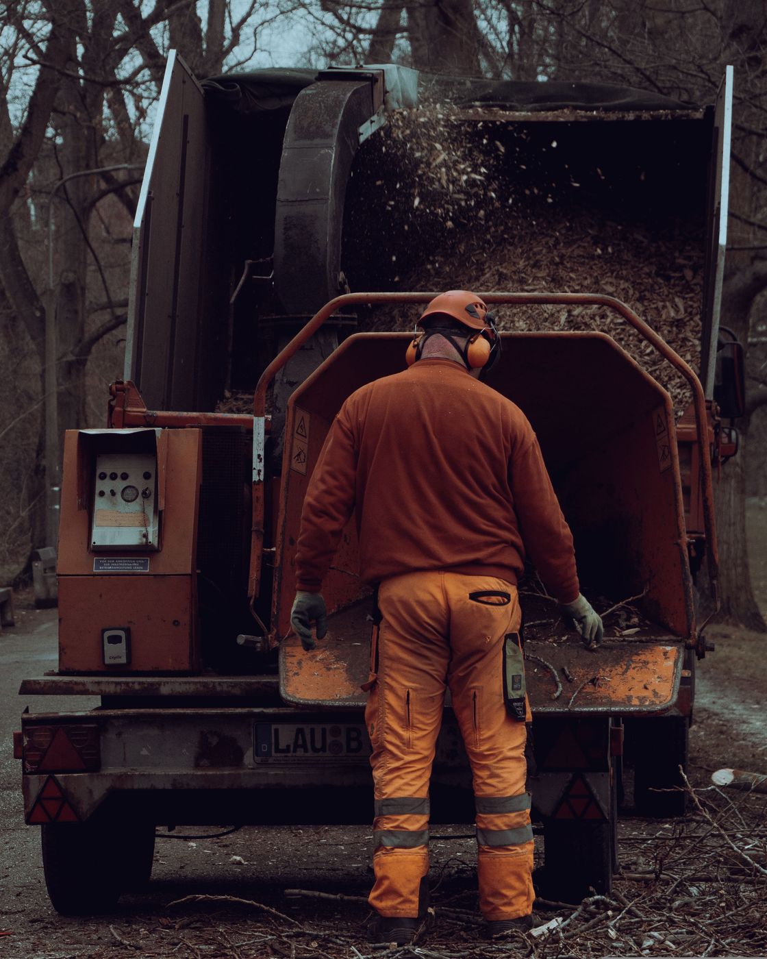Tree stump removal service improving residential property appearance in Lynchburg VA