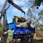 Tree service truck and equipment used by professional tree contractors in Virginia