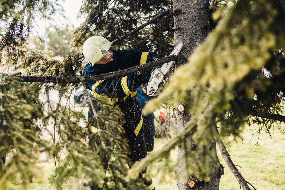 Tree service worker using chainsaw equipment for tree removal and maintenance