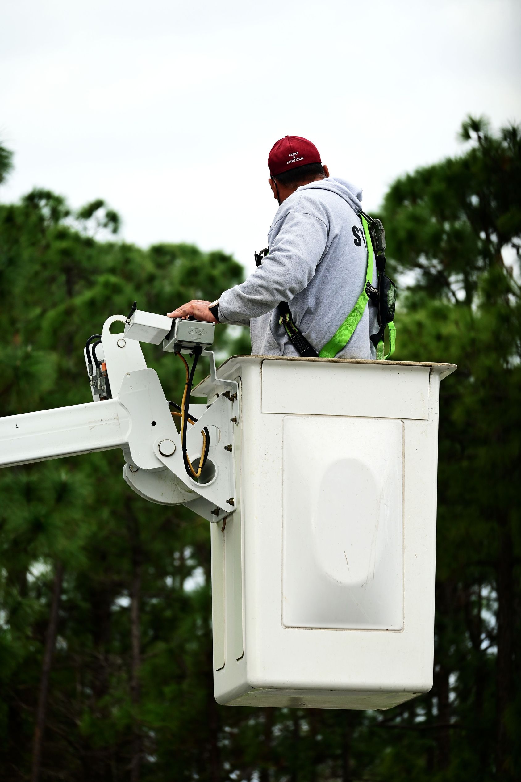 Residential tree trimming service maintaining trees around a home