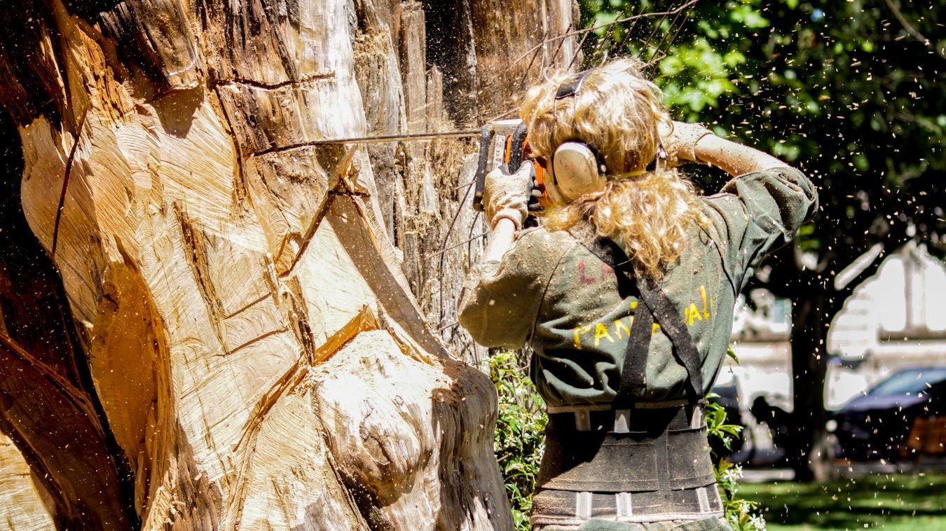 Tree worker using chainsaw for professional forest and tree service work